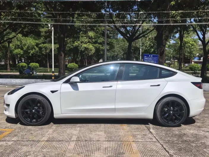 Model 3 2022 Model Rear-wheel drive version – фото 4