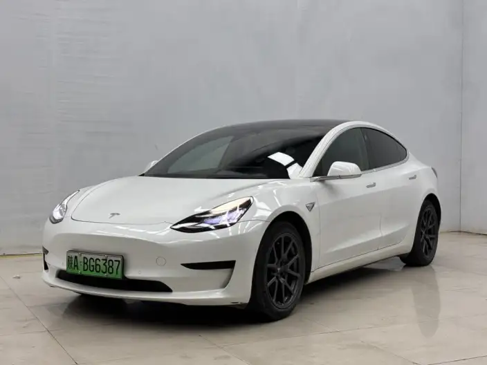 Model 3 2020 Model Facelift Standard Battery Life Rear Drive L Class Edition – фото 1