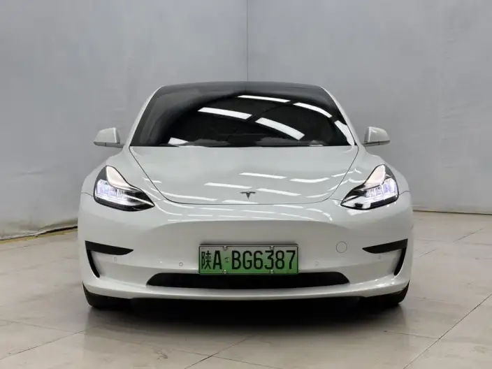 Model 3 2020 Model Facelift Standard Battery Life Rear Drive L Class Edition – фото 2