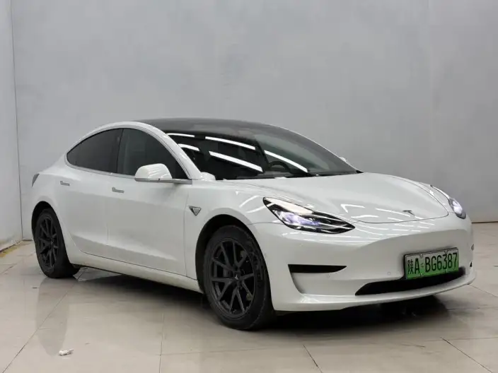 Model 3 2020 Model Facelift Standard Battery Life Rear Drive L Class Edition – фото 3