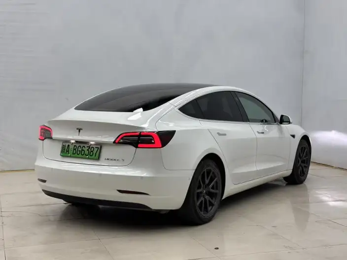 Model 3 2020 Model Facelift Standard Battery Life Rear Drive L Class Edition – фото 6