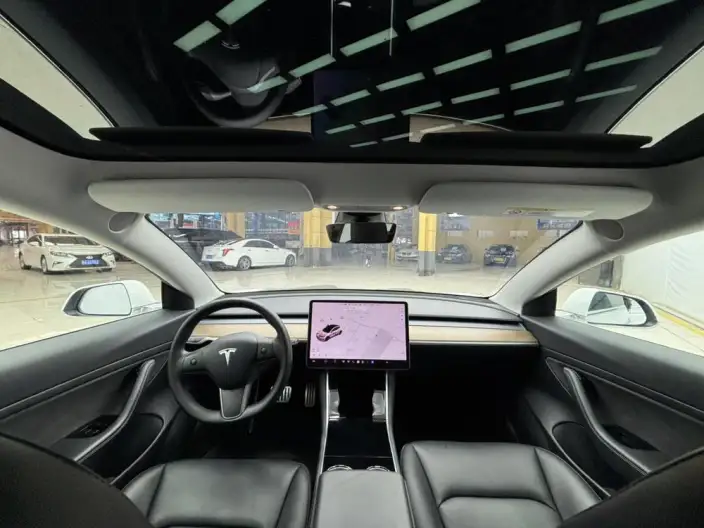 Model 3 2020 Model Facelift Standard Battery Life Rear Drive L Class Edition – фото 7