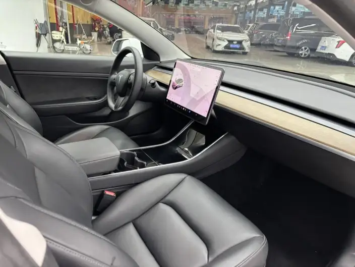 Model 3 2020 Model Facelift Standard Battery Life Rear Drive L Class Edition – фото 8