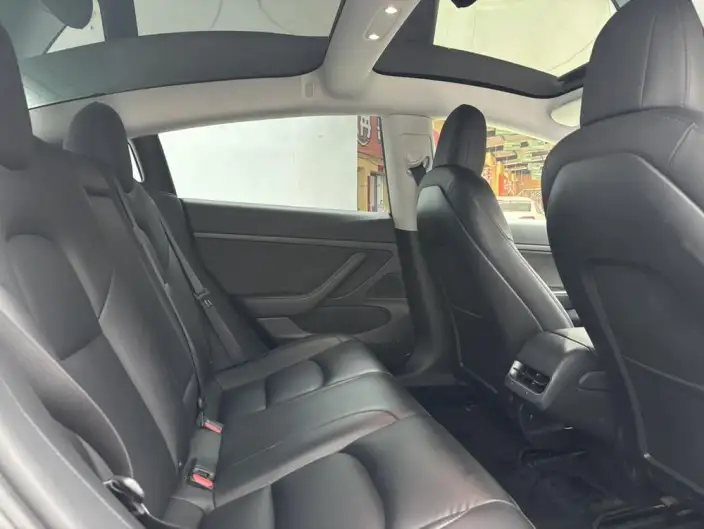 Model 3 2020 Model Facelift Standard Battery Life Rear Drive L Class Edition – фото 9