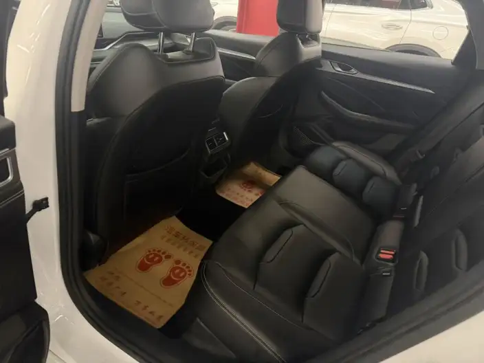 Geely StarRui 2020 Model 2.0T Luxury Model – фото 8