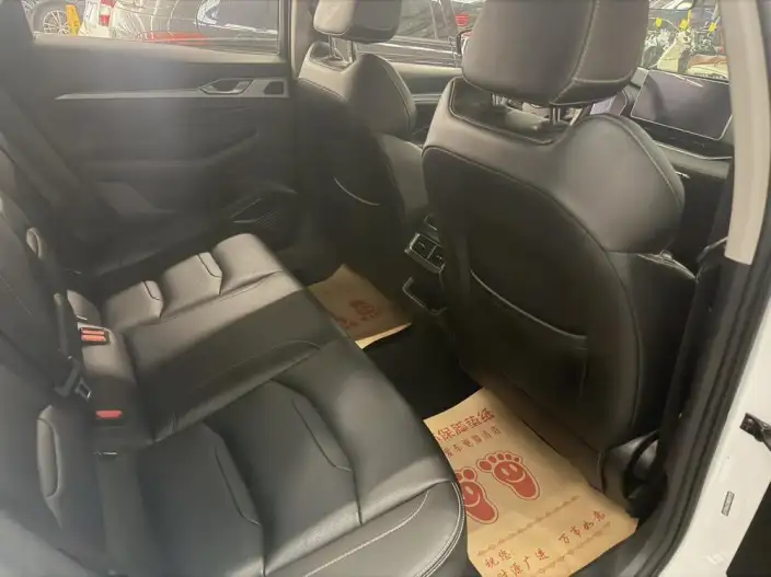 Geely StarRui 2020 Model 2.0T Luxury Model – фото 10