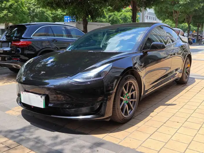 Model 3 2022 Model Rear-wheel drive version – фото 1