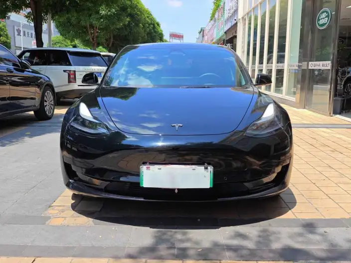 Model 3 2022 Model Rear-wheel drive version – фото 2