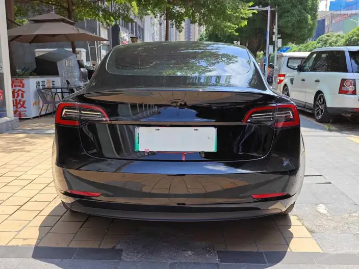 Model 3 2022 Model Rear-wheel drive version – фото 5