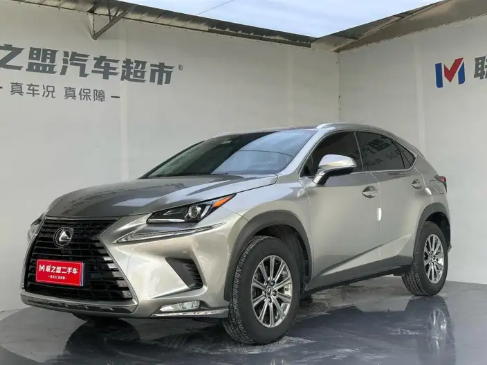 Lexus NX 2020 Model 200 Quan Drive Fengshang Edition China VI – фото 1