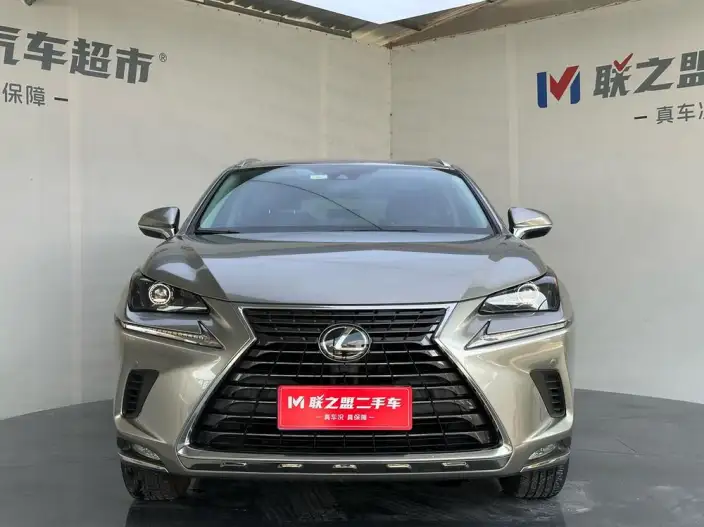 Lexus NX 2020 Model 200 Quan Drive Fengshang Edition China VI – фото 2