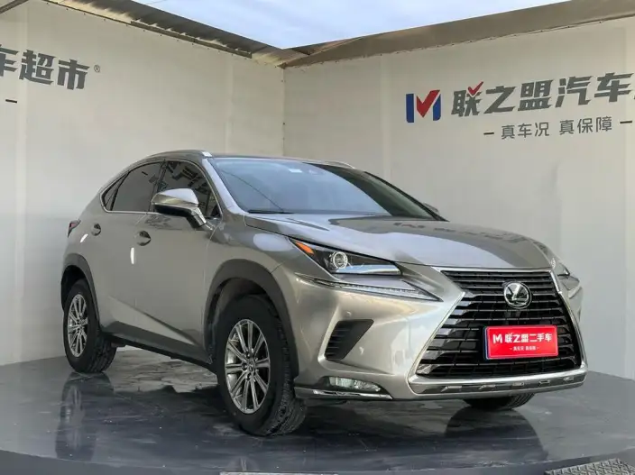 Lexus NX 2020 Model 200 Quan Drive Fengshang Edition China VI – фото 3