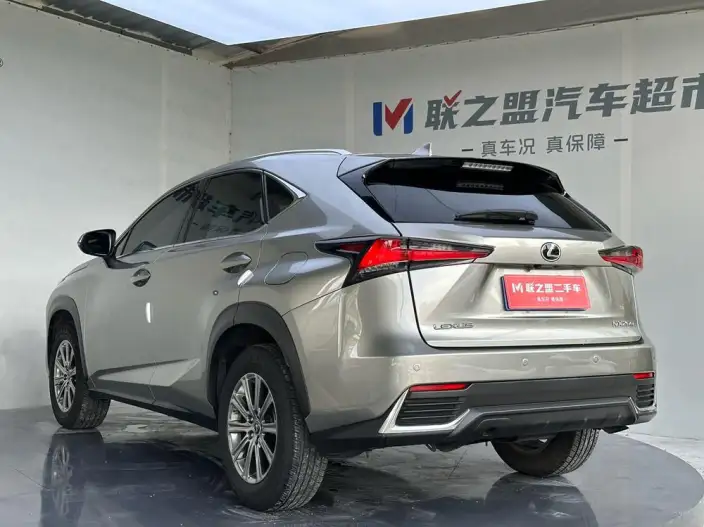 Lexus NX 2020 Model 200 Quan Drive Fengshang Edition China VI – фото 4