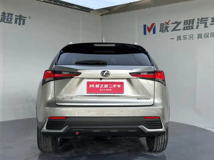 Lexus NX 2020 Model 200 Quan Drive Fengshang Edition China VI – фото 5