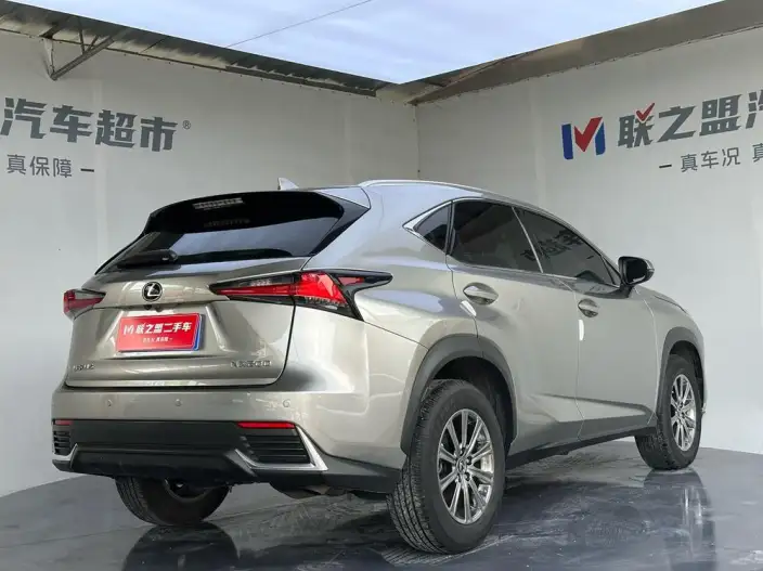 Lexus NX 2020 Model 200 Quan Drive Fengshang Edition China VI – фото 6