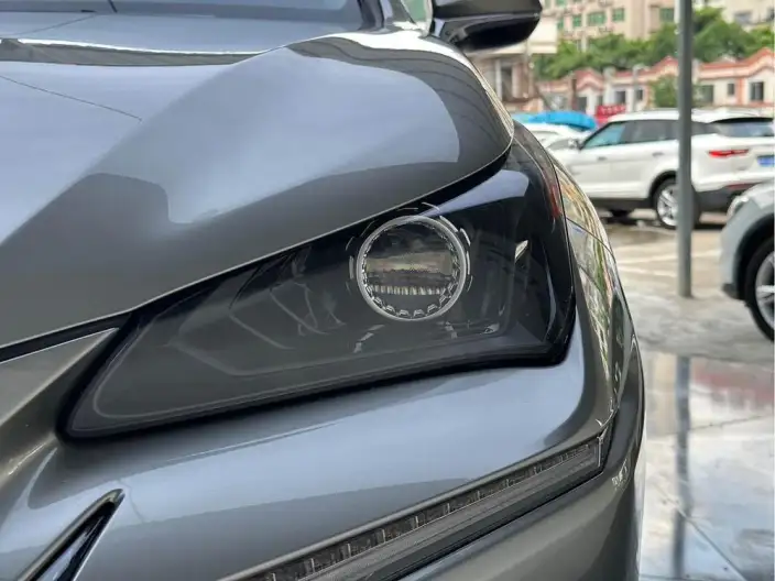 Lexus NX 2020 Model 200 Quan Drive Fengshang Edition China VI – фото 7