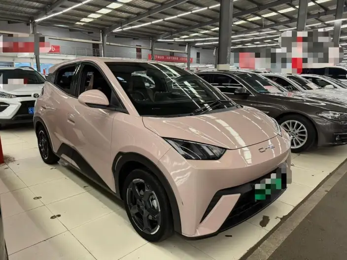 BYD Seagull 2023 Model Free Edition – фото 3