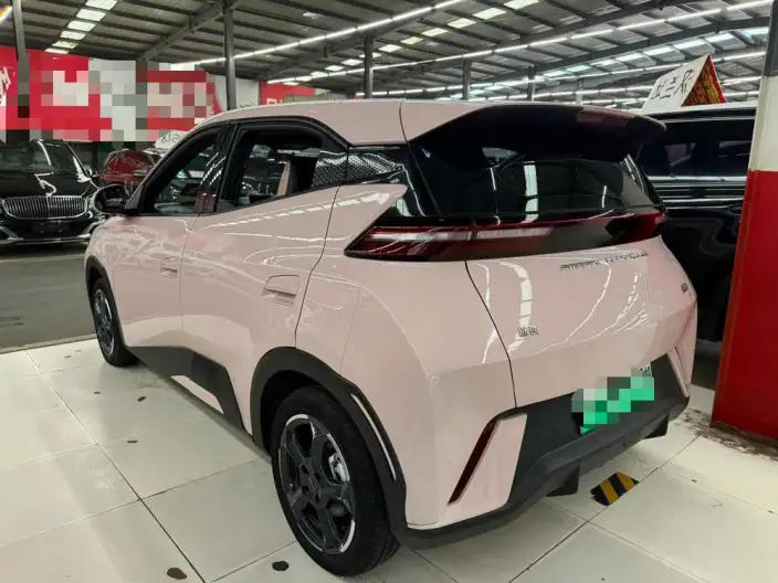BYD Seagull 2023 Model Free Edition – фото 4