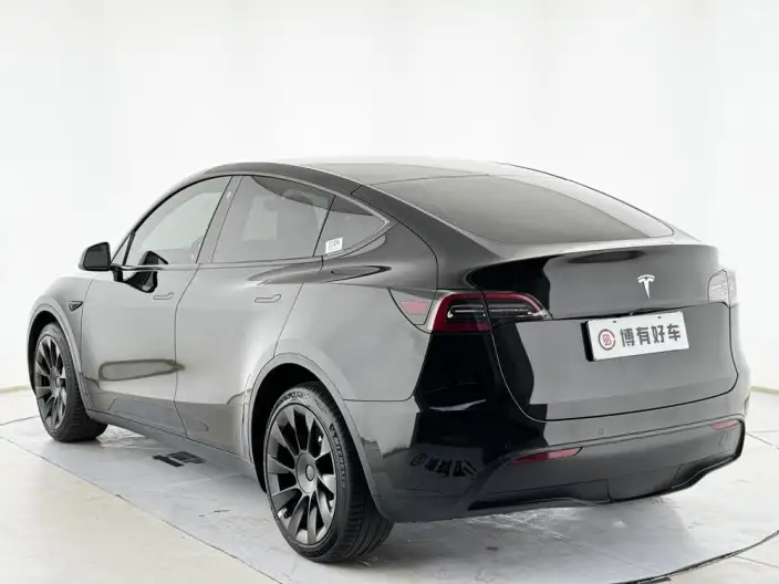 Model Y 2022 Model Facelift Long Battery Life Pro All-wheel drive version – фото 5