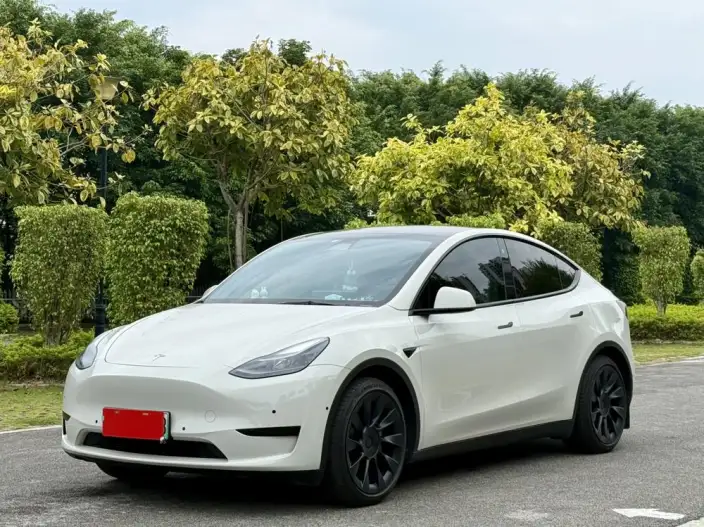 Model Y 2022 Model Facelift Rear-wheel drive version – фото 1