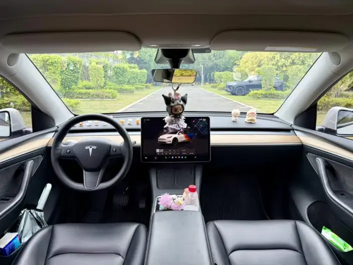 Model Y 2022 Model Facelift Rear-wheel drive version – фото 9