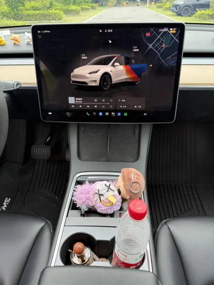 Model Y 2022 Model Facelift Rear-wheel drive version – фото 10
