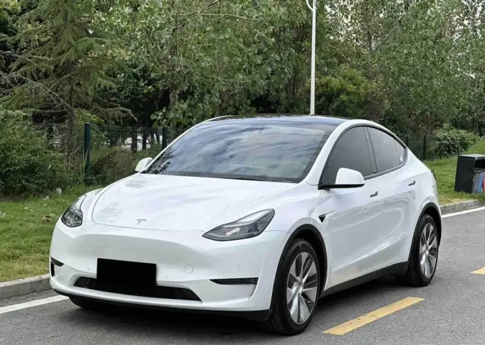 Model Y 2021 Model Standard Battery Life Rear-wheel drive version – фото 1