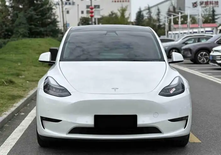 Model Y 2021 Model Standard Battery Life Rear-wheel drive version – фото 2