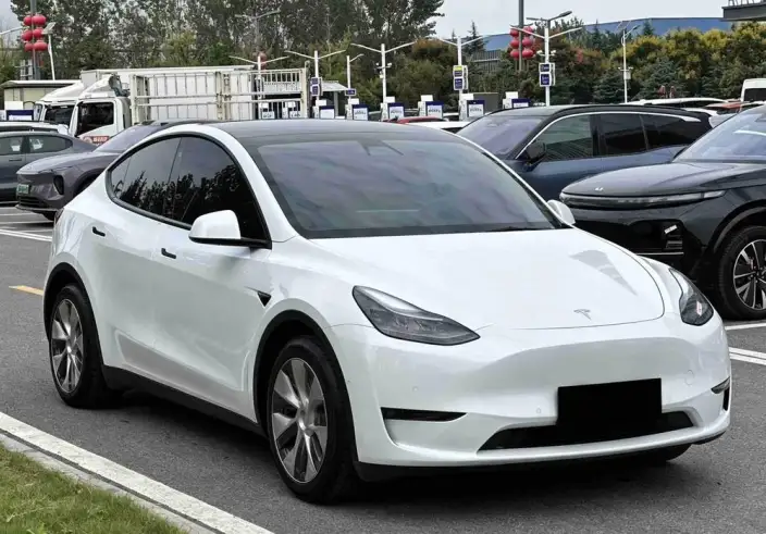 Model Y 2021 Model Standard Battery Life Rear-wheel drive version – фото 3