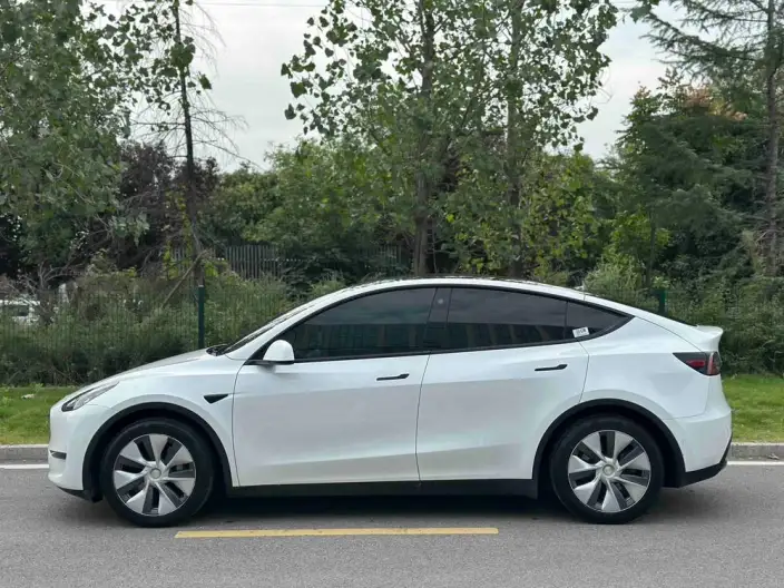Model Y 2021 Model Standard Battery Life Rear-wheel drive version – фото 4
