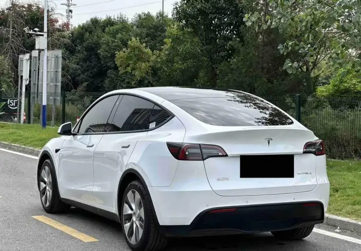 Model Y 2021 Model Standard Battery Life Rear-wheel drive version – фото 5