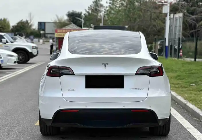 Model Y 2021 Model Standard Battery Life Rear-wheel drive version – фото 6
