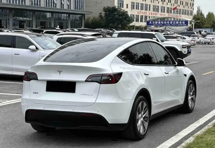 Model Y 2021 Model Standard Battery Life Rear-wheel drive version – фото 7