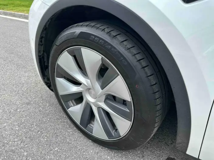 Model Y 2021 Model Standard Battery Life Rear-wheel drive version – фото 9