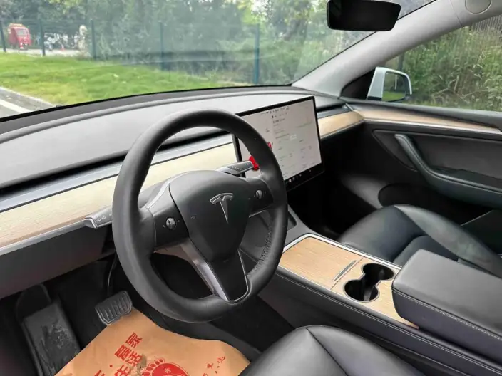 Model Y 2021 Model Standard Battery Life Rear-wheel drive version – фото 10