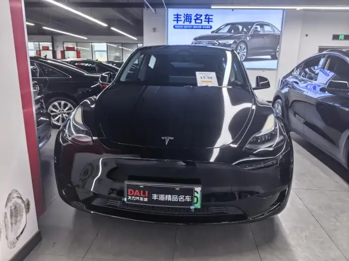 Model Y 2023 Model Rear-wheel drive version – фото 2
