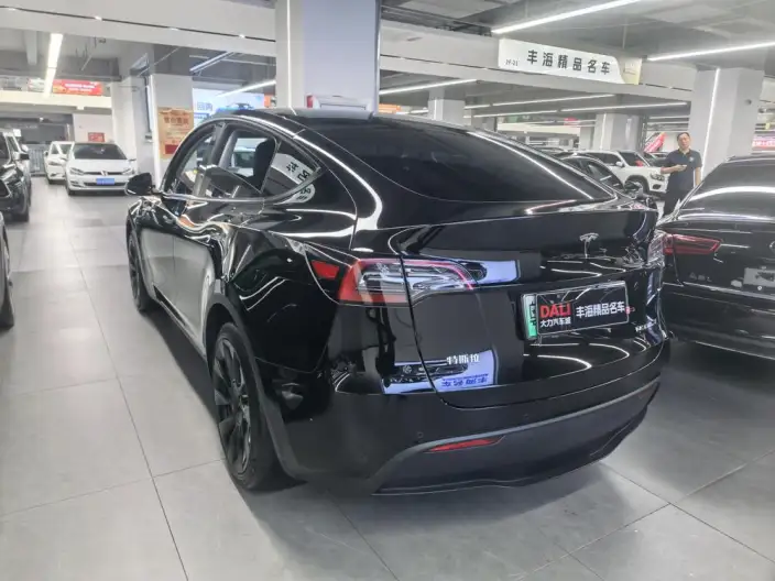 Model Y 2023 Model Rear-wheel drive version – фото 3