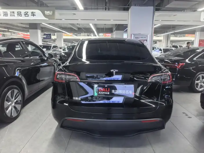 Model Y 2023 Model Rear-wheel drive version – фото 4
