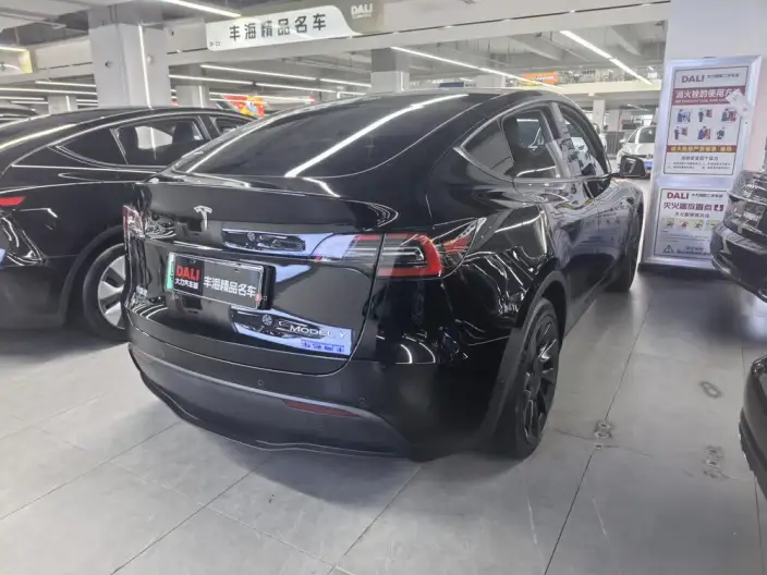 Model Y 2023 Model Rear-wheel drive version – фото 5