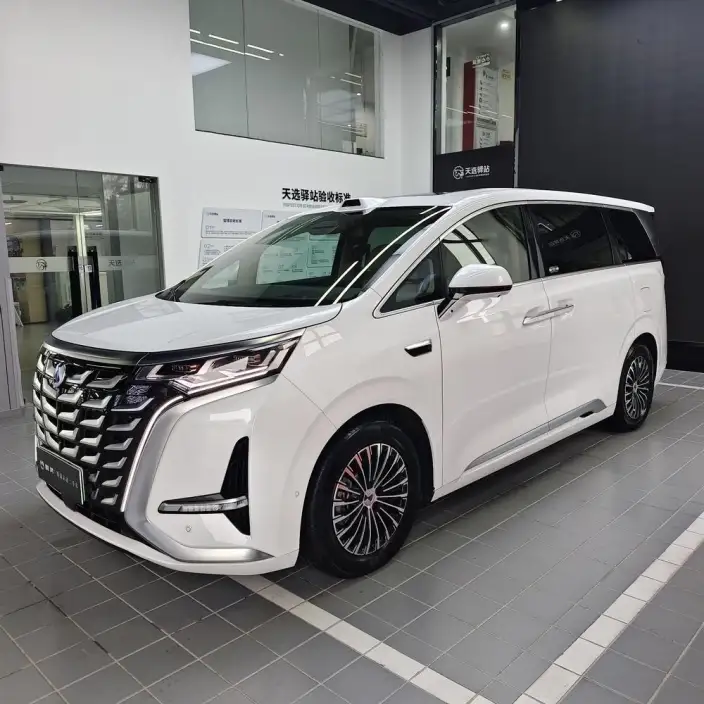 DENZA D9 DM 2025 Model Smart Driving Edition 1020 4WD Flagship Model – фото 1