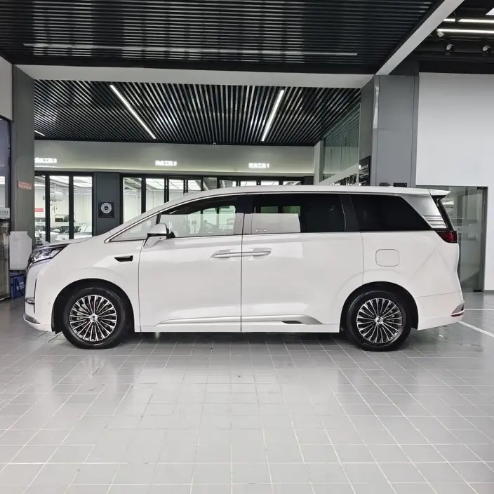 DENZA D9 DM 2025 Model Smart Driving Edition 1020 4WD Flagship Model – фото 3