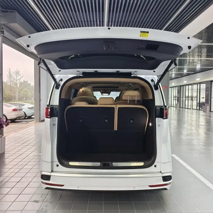 DENZA D9 DM 2025 Model Smart Driving Edition 1020 4WD Flagship Model – фото 8