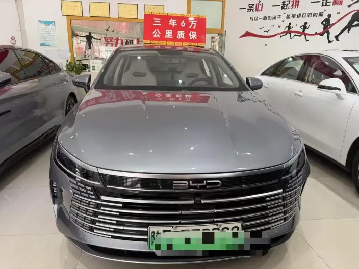 BYD Destroyer 05 2024 Model Honor Edition DM-i 120KM Luxury Model – фото 2