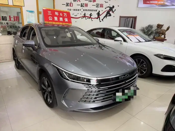 BYD Destroyer 05 2024 Model Honor Edition DM-i 120KM Luxury Model – фото 3