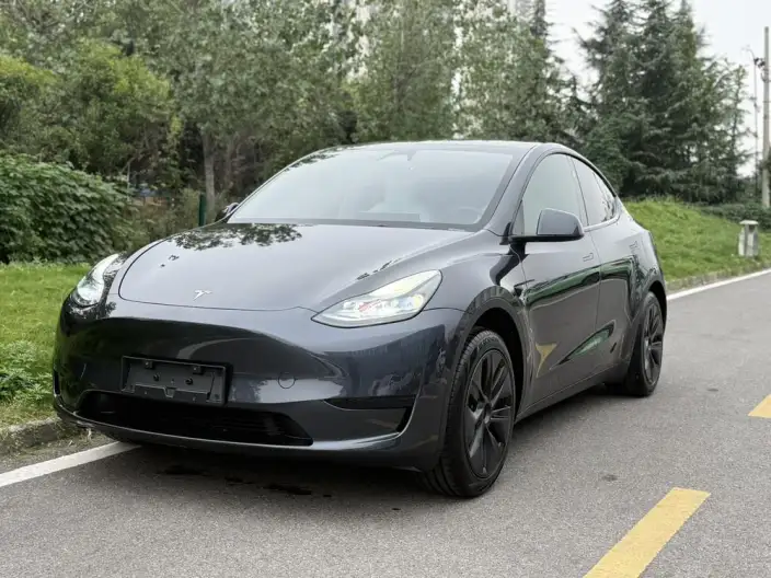 Model Y 2024 Model Rear-wheel drive version – фото 1