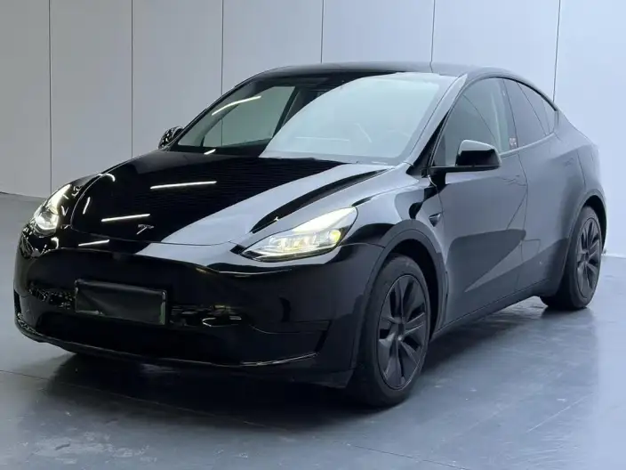 Model Y 2023 Model Rear-wheel drive version – фото 1