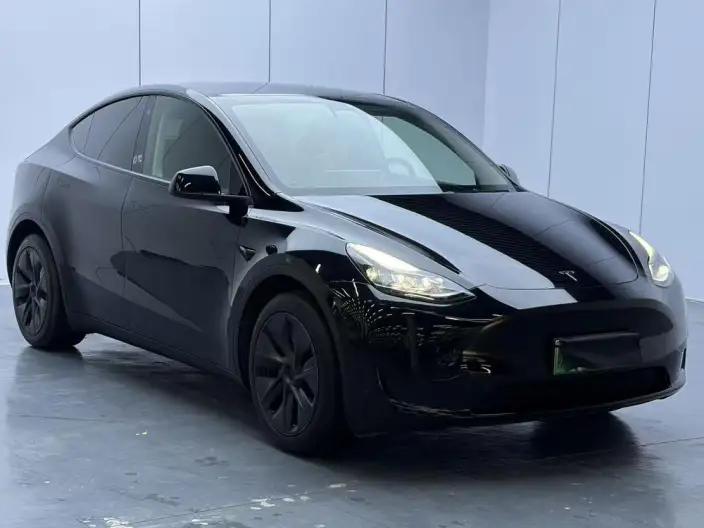 Model Y 2023 Model Rear-wheel drive version – фото 3