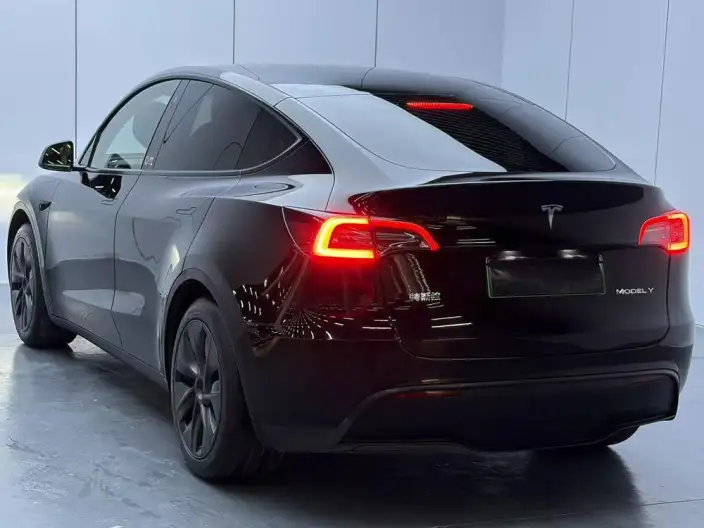Model Y 2023 Model Rear-wheel drive version – фото 5