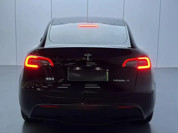 Model Y 2023 Model Rear-wheel drive version – фото 6