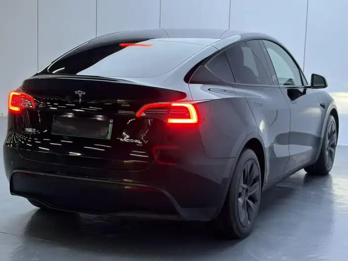 Model Y 2023 Model Rear-wheel drive version – фото 7